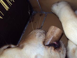 ..no čo som povedala...