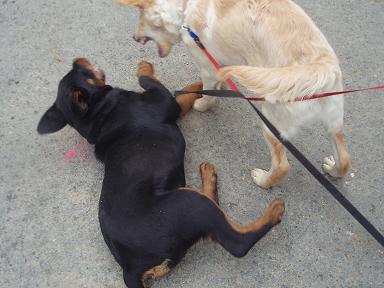 Haha..zase sa hrajeme.